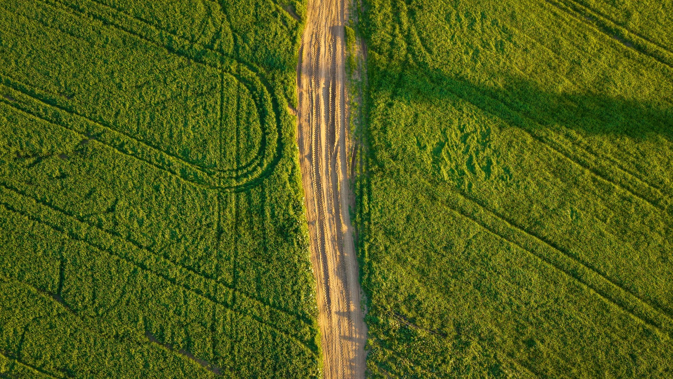 Aerial view of a typical farm with green fields and animals in the paddocks