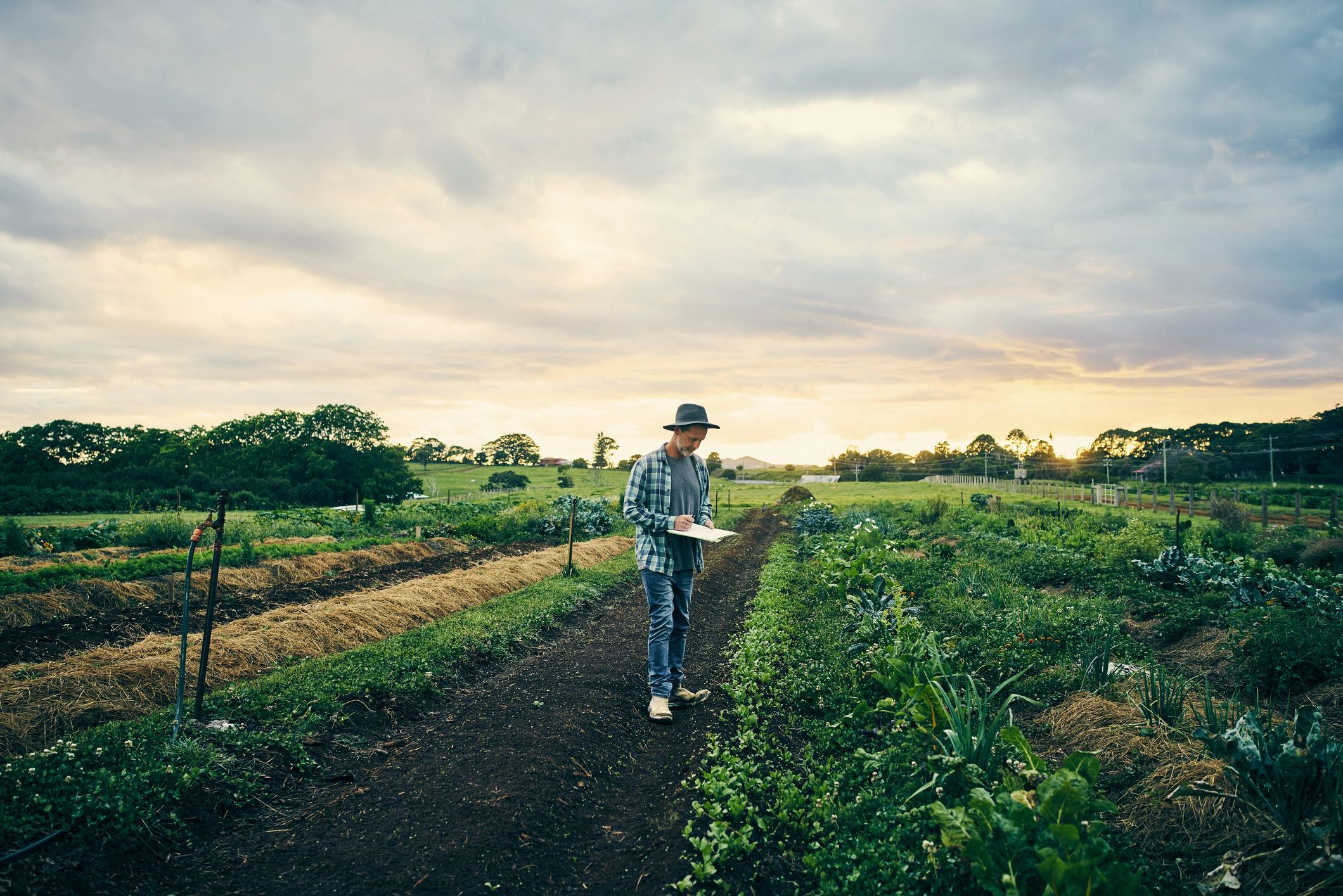 Farmer inspecting crops on a rural property